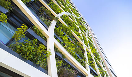Rewilding takes root in architecture | PERC