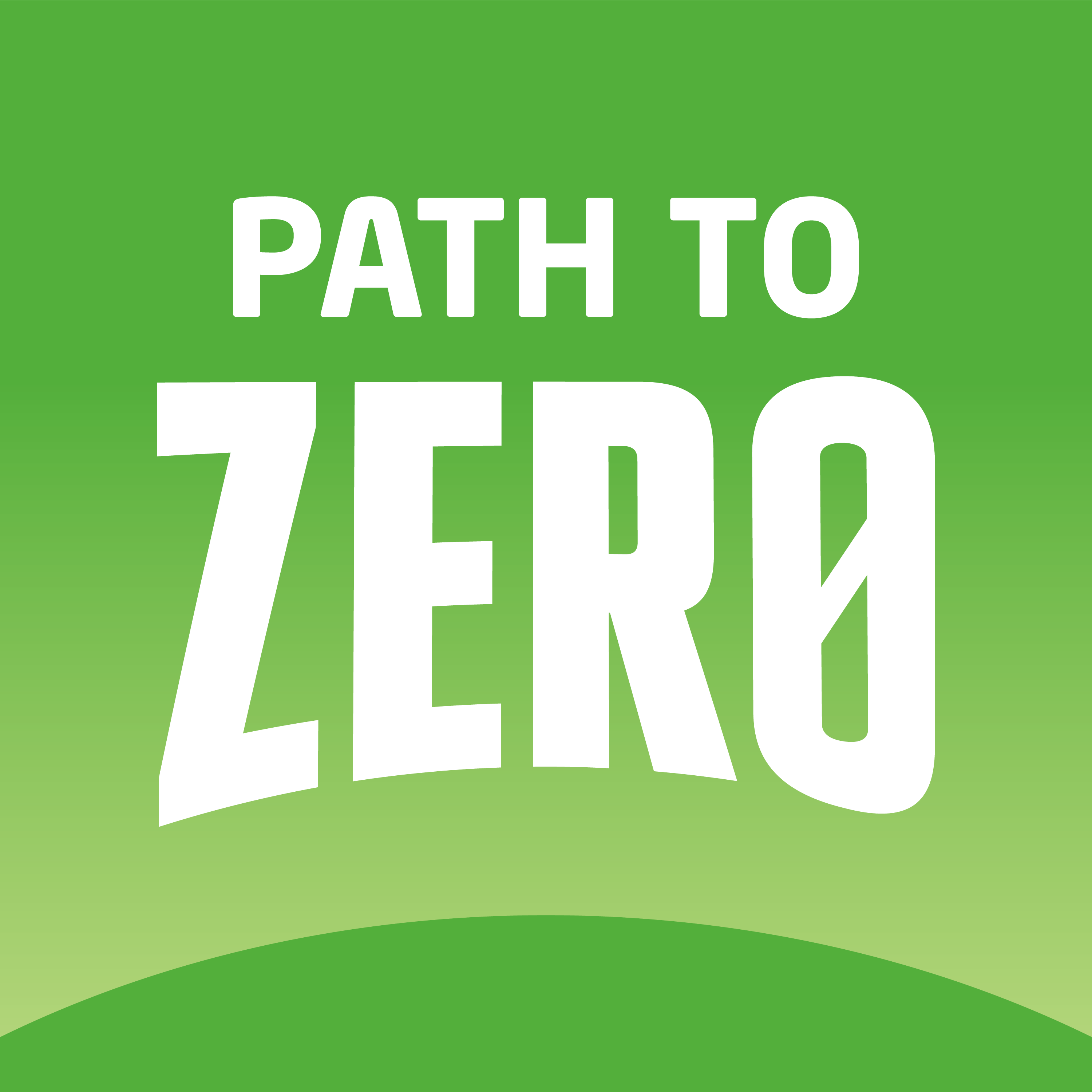 Path to Zero Path to Zero