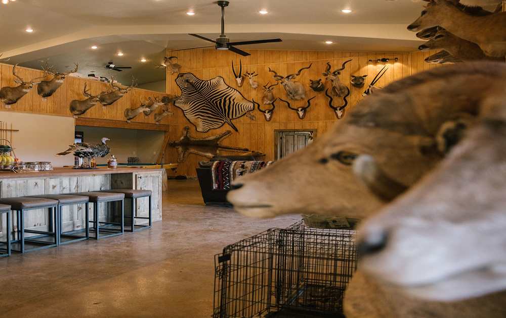 Modern, rustic hunting lodge radiates efficient comfort | PERC