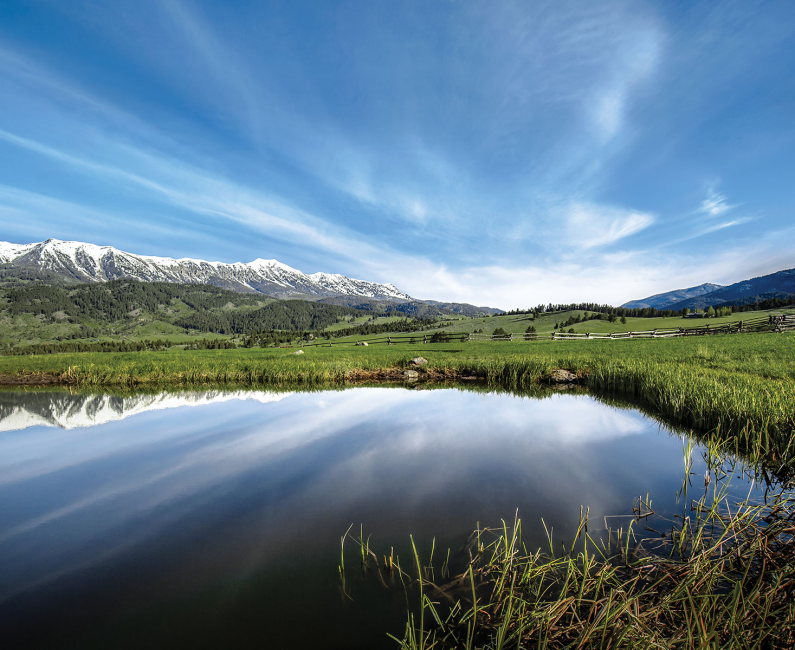 Can Propane Play a Role in Decarbonization Efforts? One Industry Leader Thinks So